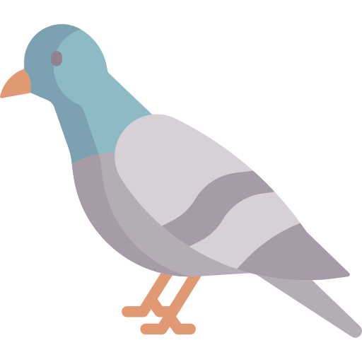 Carrier Pigeon